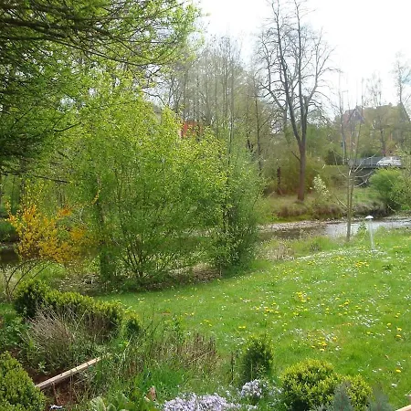 Dionysos Traube * Rottweil