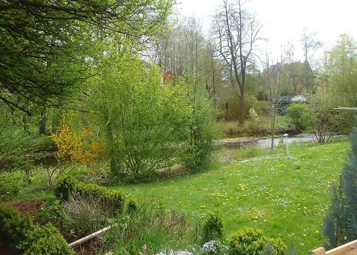 Dionysos Traube * ロットヴァイル