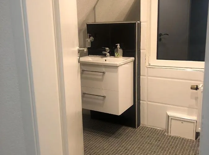 Dionysos Traube イン