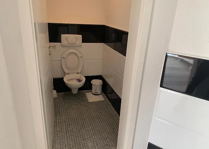 Dionysos Traube Estalagem *